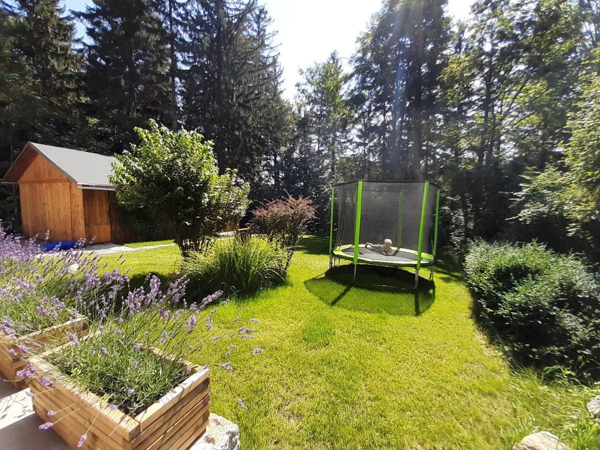 Apartamenty Przy Swierku Szklarska Poręba Esterno foto