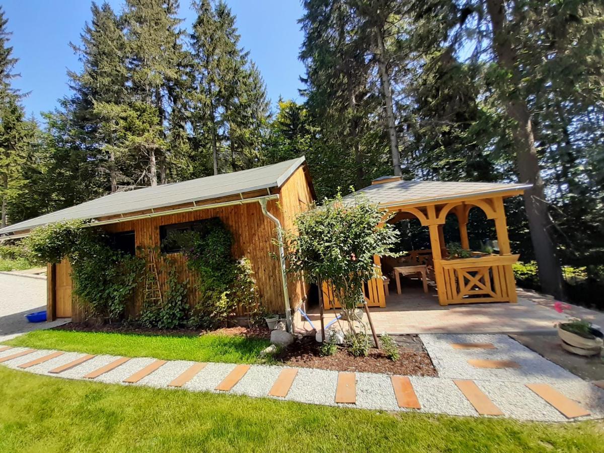 Apartamenty Przy Swierku Szklarska Poręba Esterno foto