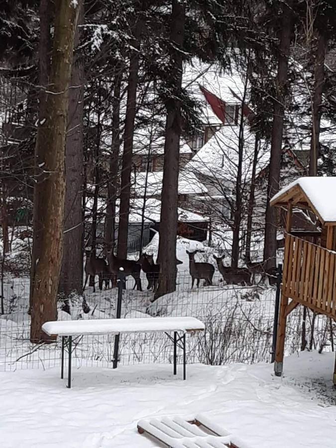 Apartamenty Przy Swierku Szklarska Poręba Esterno foto