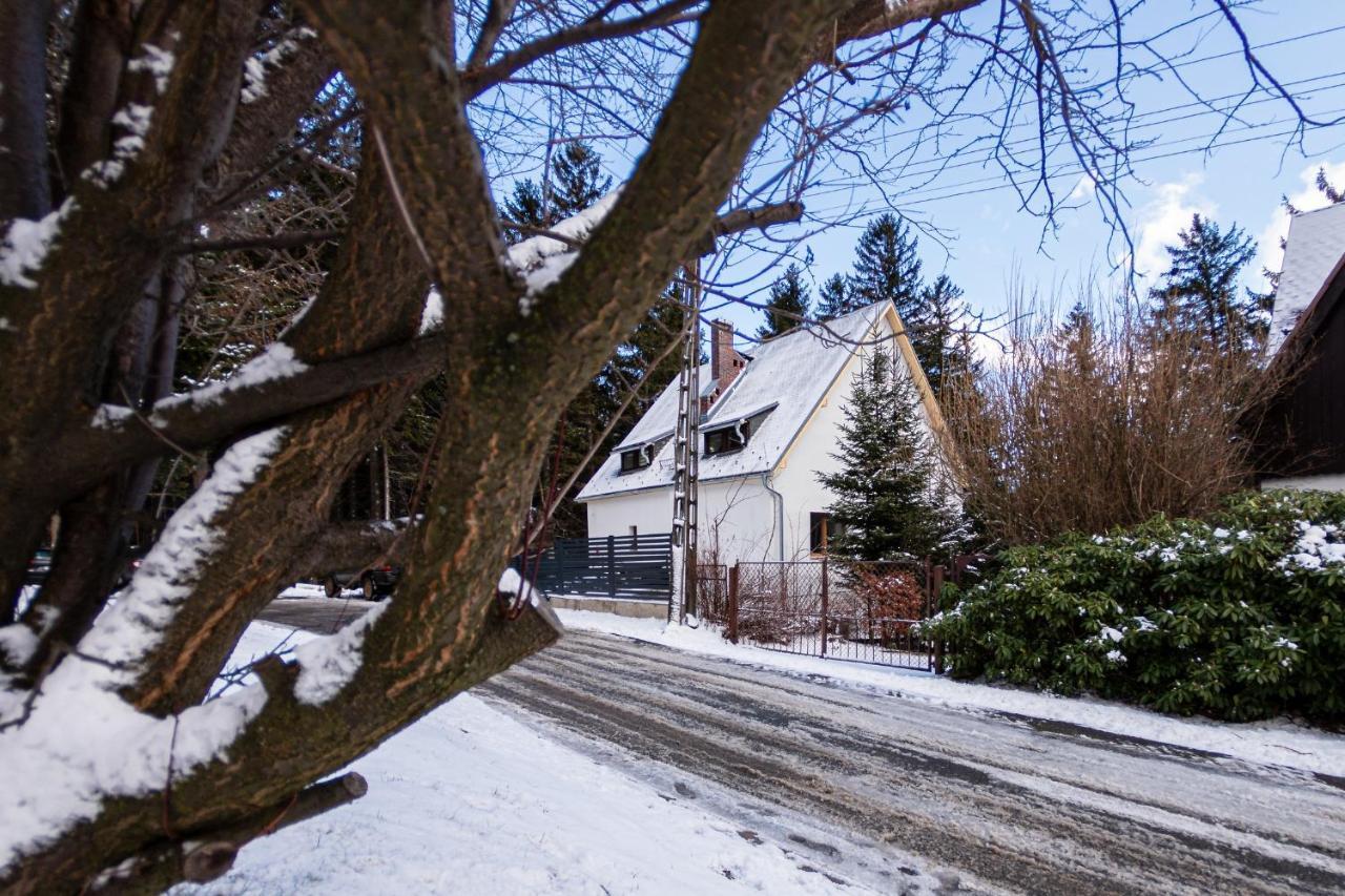 Apartamenty Przy Swierku Szklarska Poręba Esterno foto